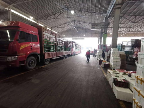 北京市農產品運入量分析 蔬果大幅增長，水產品波動穩定